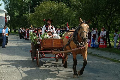 WK20030802_003