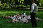 02.08.2003 WISLA  XL TYDZIEN KULTURY BESKIDZKIEJ TKB KOROWOD ZESPOLOW ZESPOL ¯EJMIANA Z PODBRODZIA Z LITWY<br>plyta nr 10